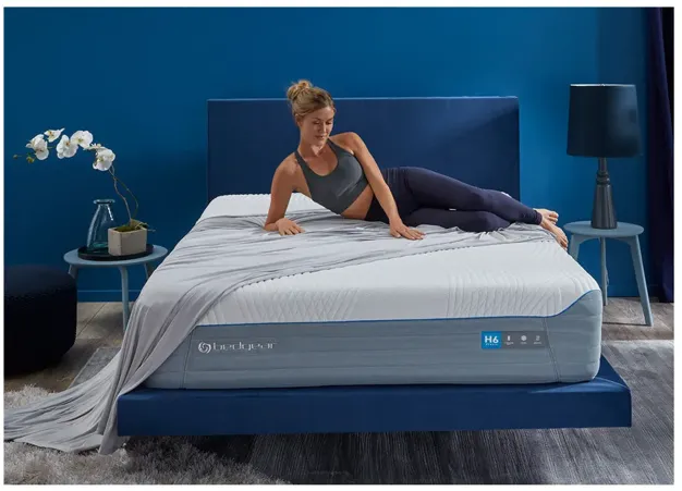 H6 Plush Hybrid Mattress by BEDGEAR®