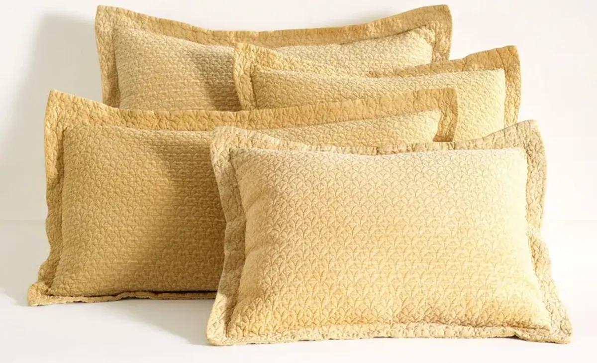 Hawley Matelasse Sham