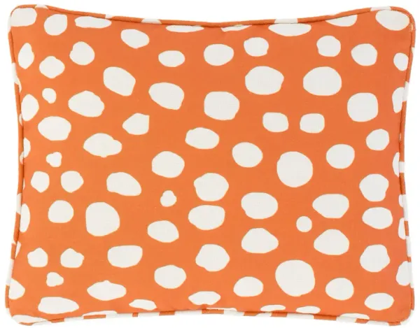 Spot On Indoor/Outdoor Decorative Pillow Cover
