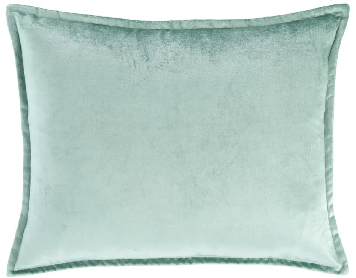 Panne Velvet Decorative Pillow Cover