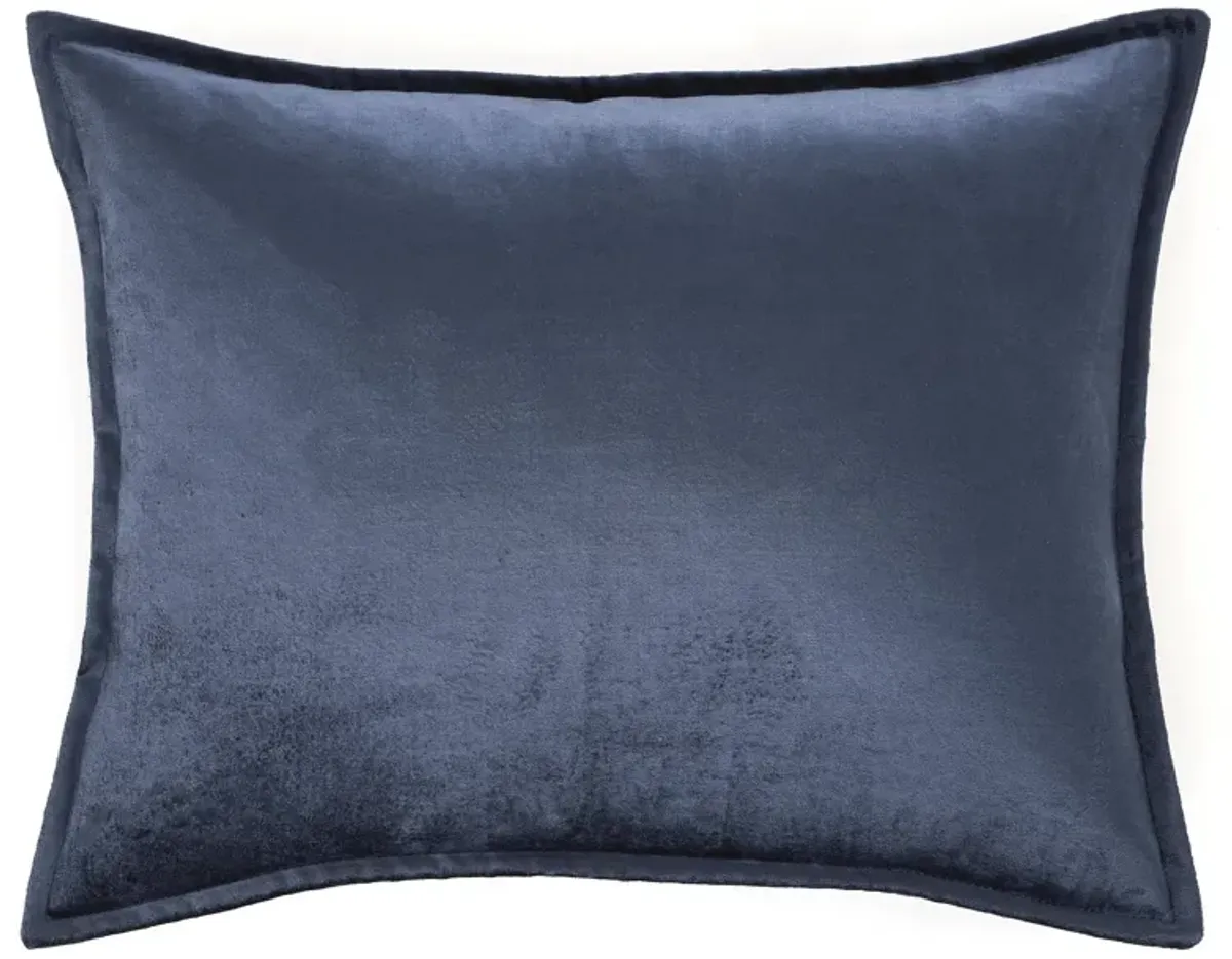 Panne Velvet Decorative Pillow Cover