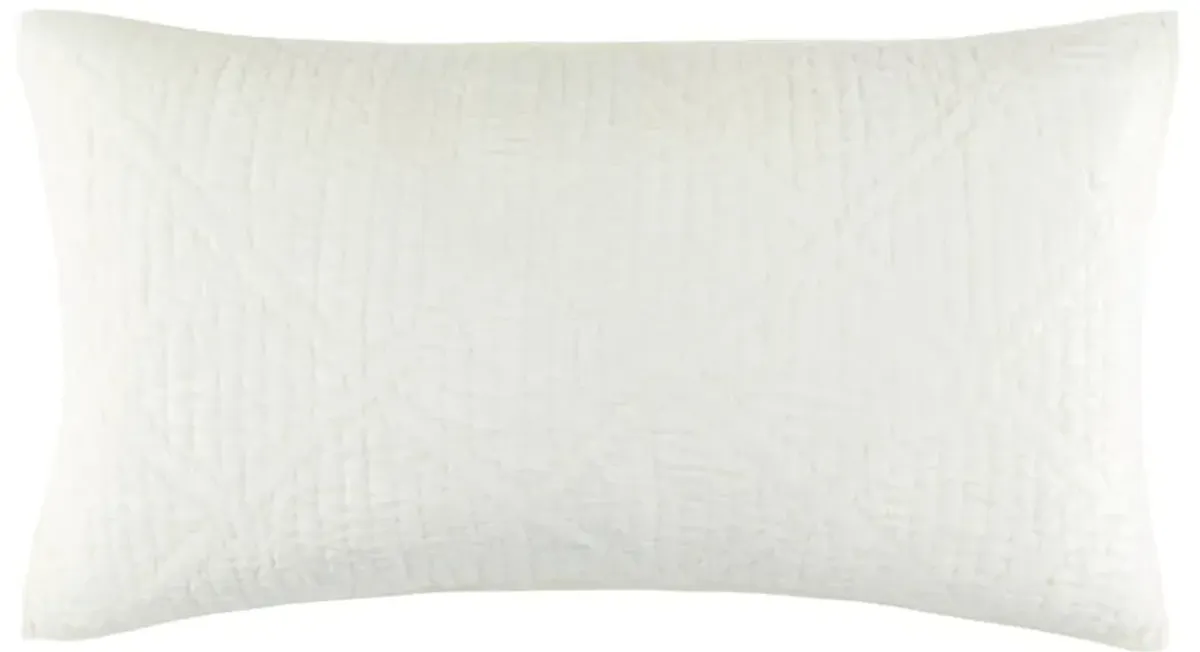 Parisienne Velvet Quilted Sham