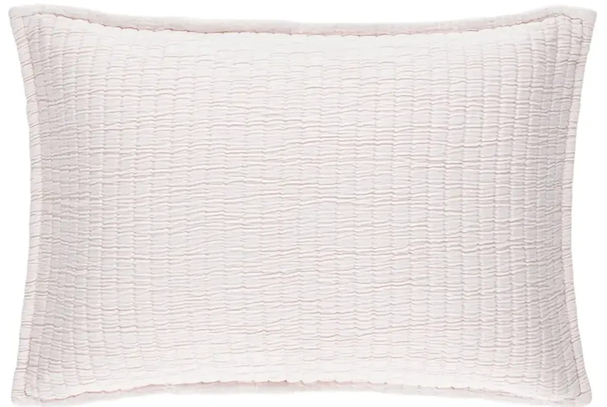 Boyfriend Matelasse Sham