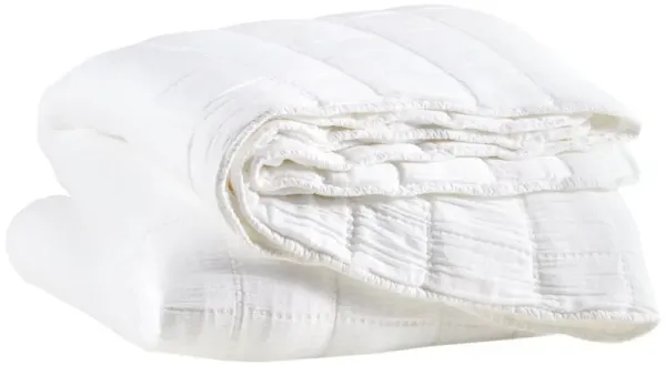 Monet Quilted Coverlet