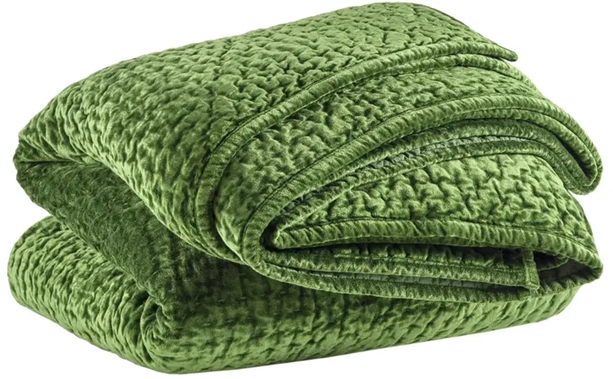 Parisienne Velvet Quilt