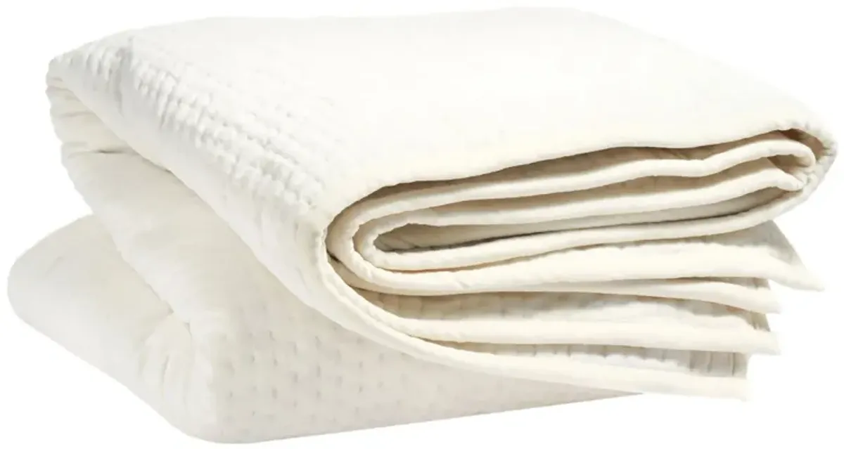 Viola Velvet Quilt