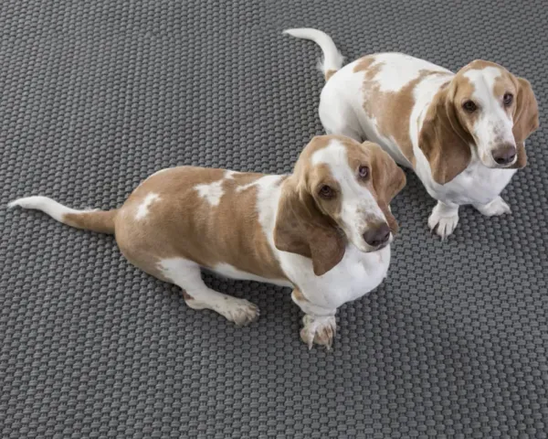 Rope Handwoven Indoor/Outdoor Rug