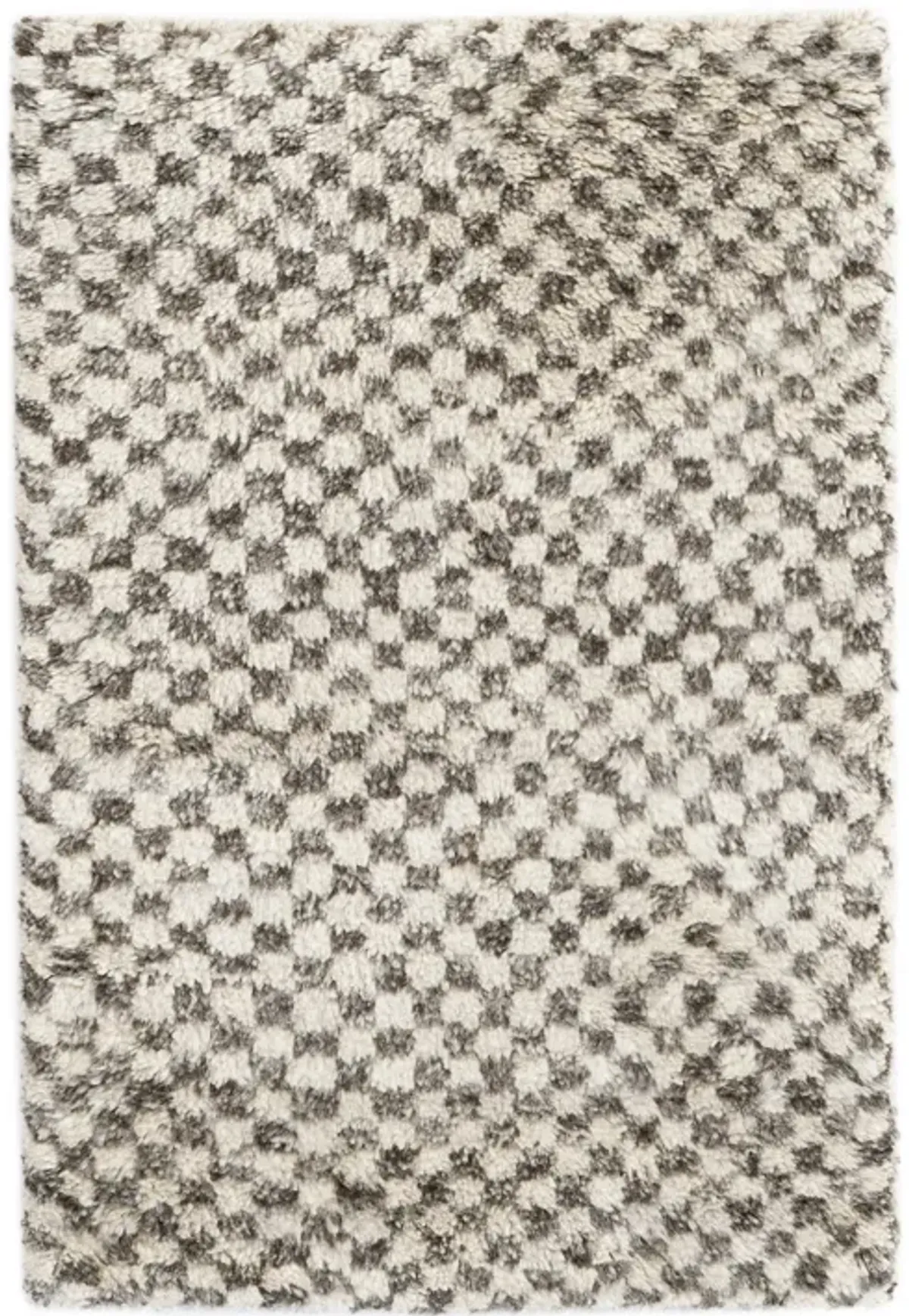 Citra Hand Knotted Wool Rug