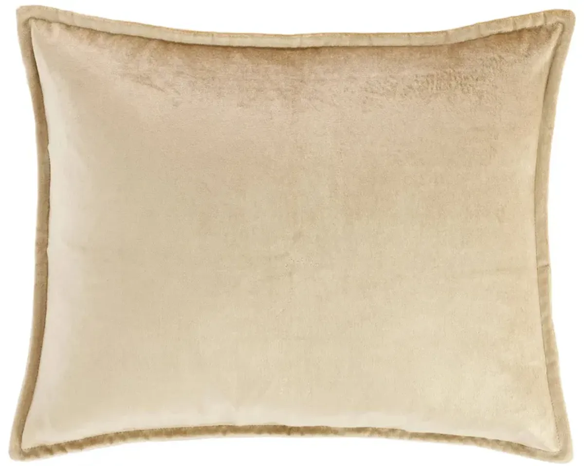 Panne Velvet Decorative Pillow Cover