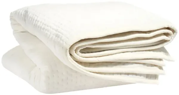 Viola Velvet Quilt