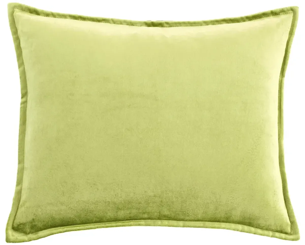 Panne Velvet Decorative Pillow Cover