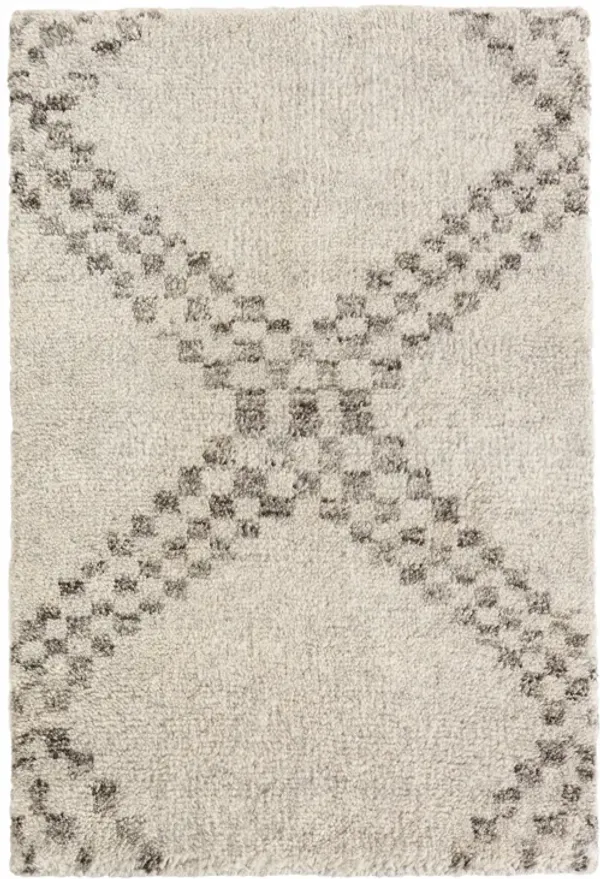 Zillah Hand Knotted Wool Rug