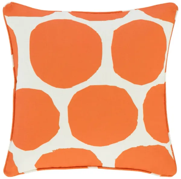 On The Spot Indoor/Outdoor Decorative Pillow Cover