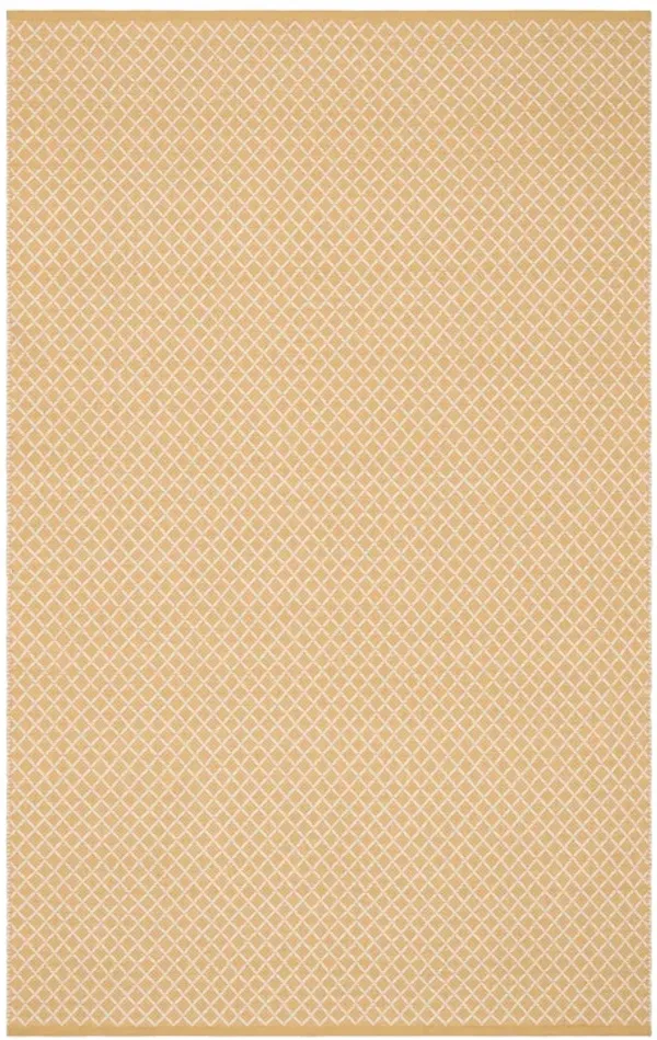 Trellis Handwoven Indoor/Outdoor Rug