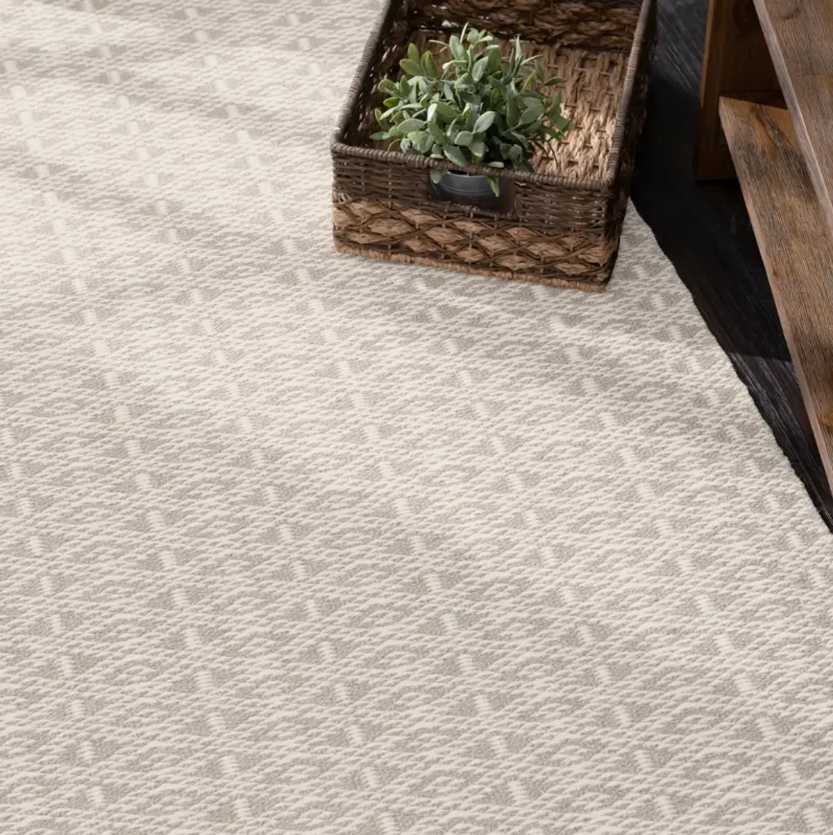 Bare Handwoven Cotton Rug