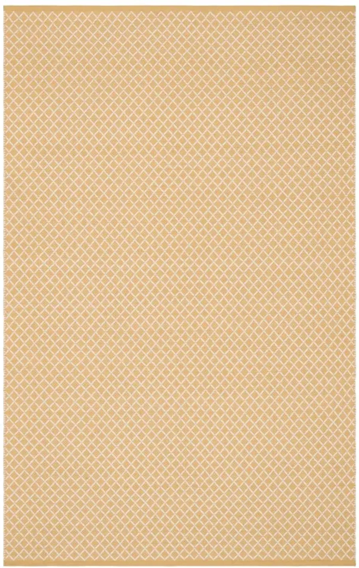 Trellis Handwoven Indoor/Outdoor Rug