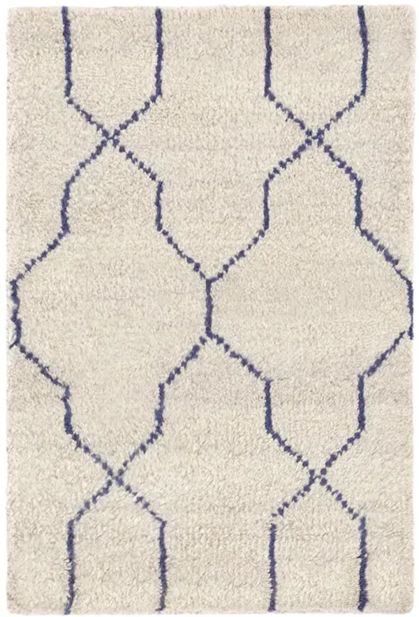 Massena Hand Knotted Wool Rug