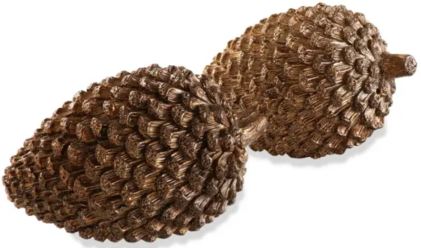 Coulter Cone/Set of 2