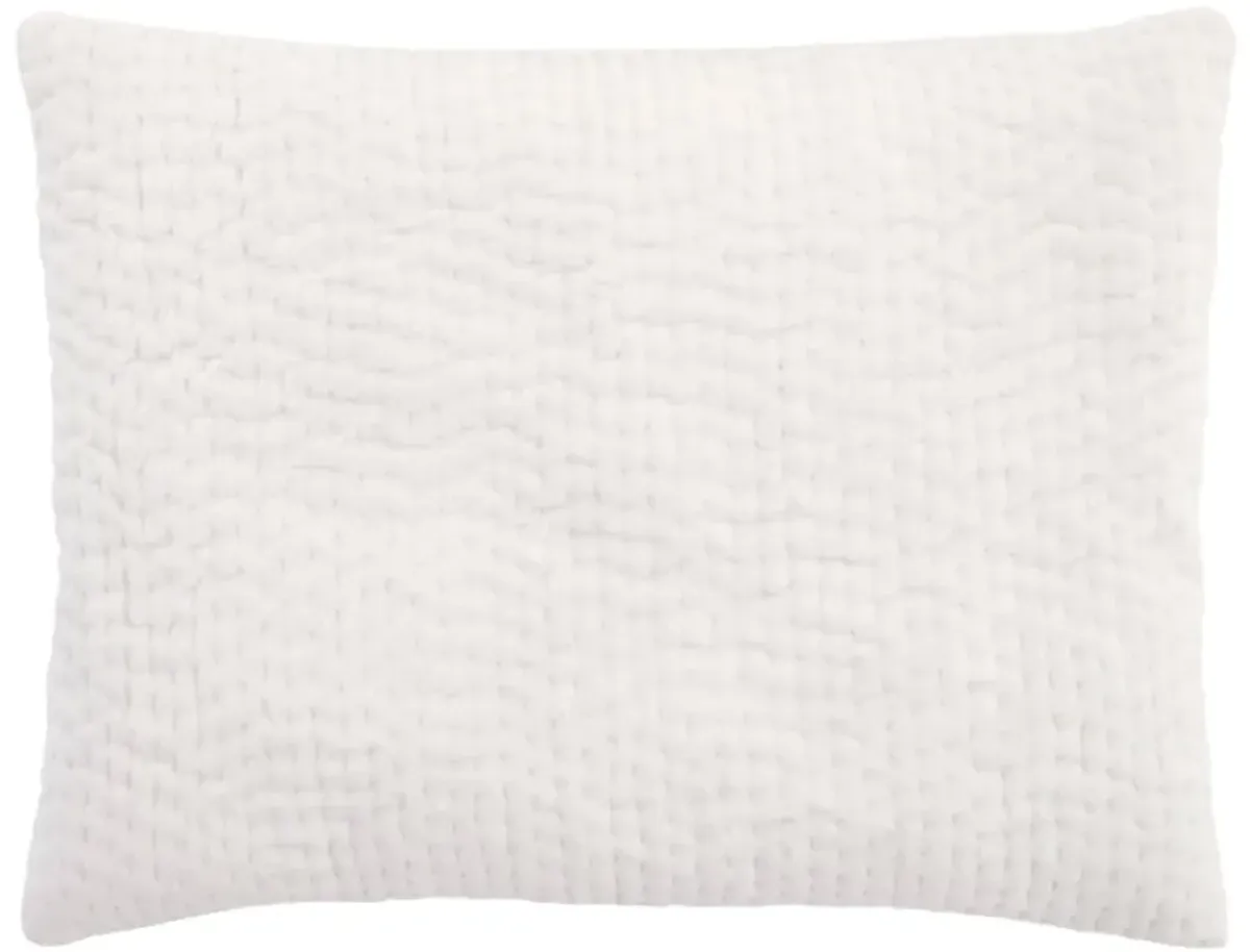 Viola Velvet Quilted Sham
