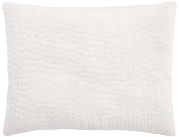 Viola Velvet Quilted Sham
