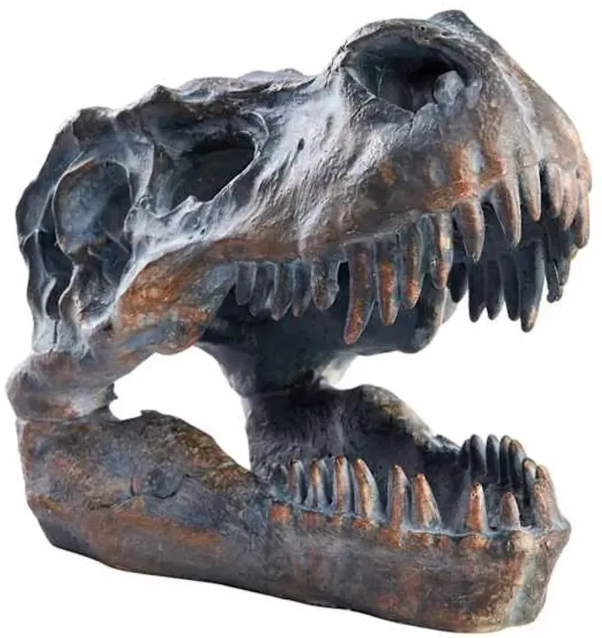 Brown T-Rex Fossil Head, 6"