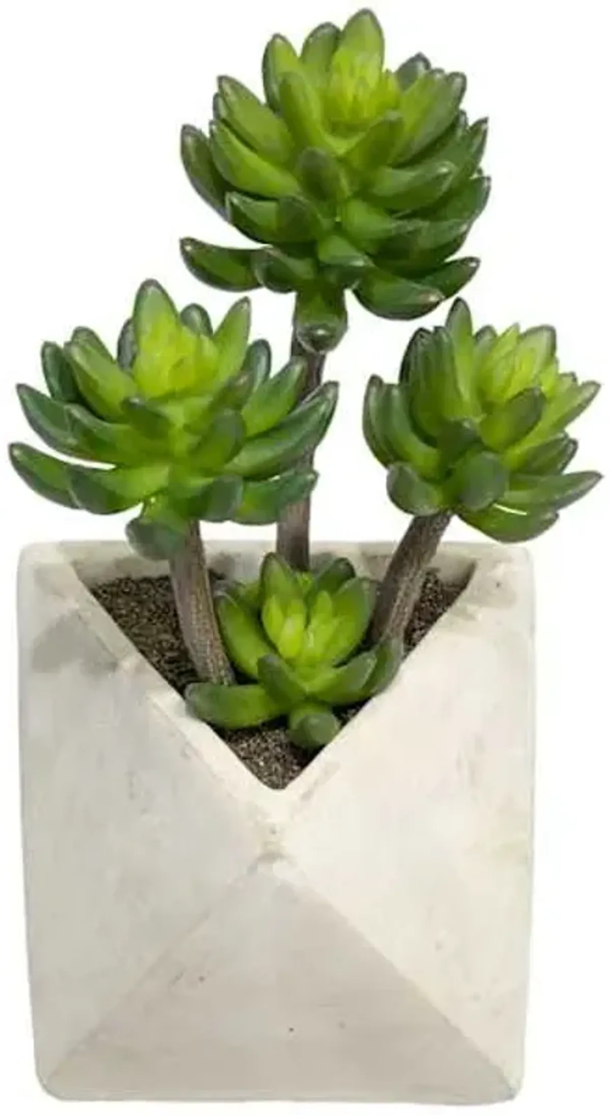 Mini Agave with White Triangular Planter, 12"