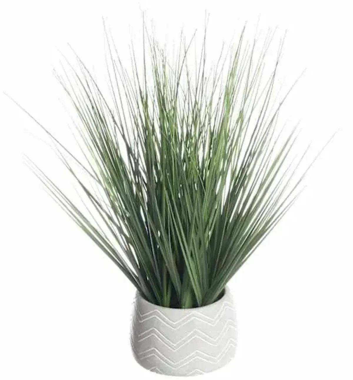 Onion Grass Plant with Cement Planter, 16"