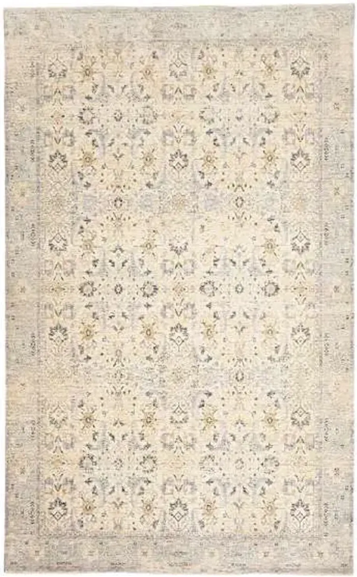 (A437) Honeybloom Penelope Distressed Look Grey Area Rug, 5x8