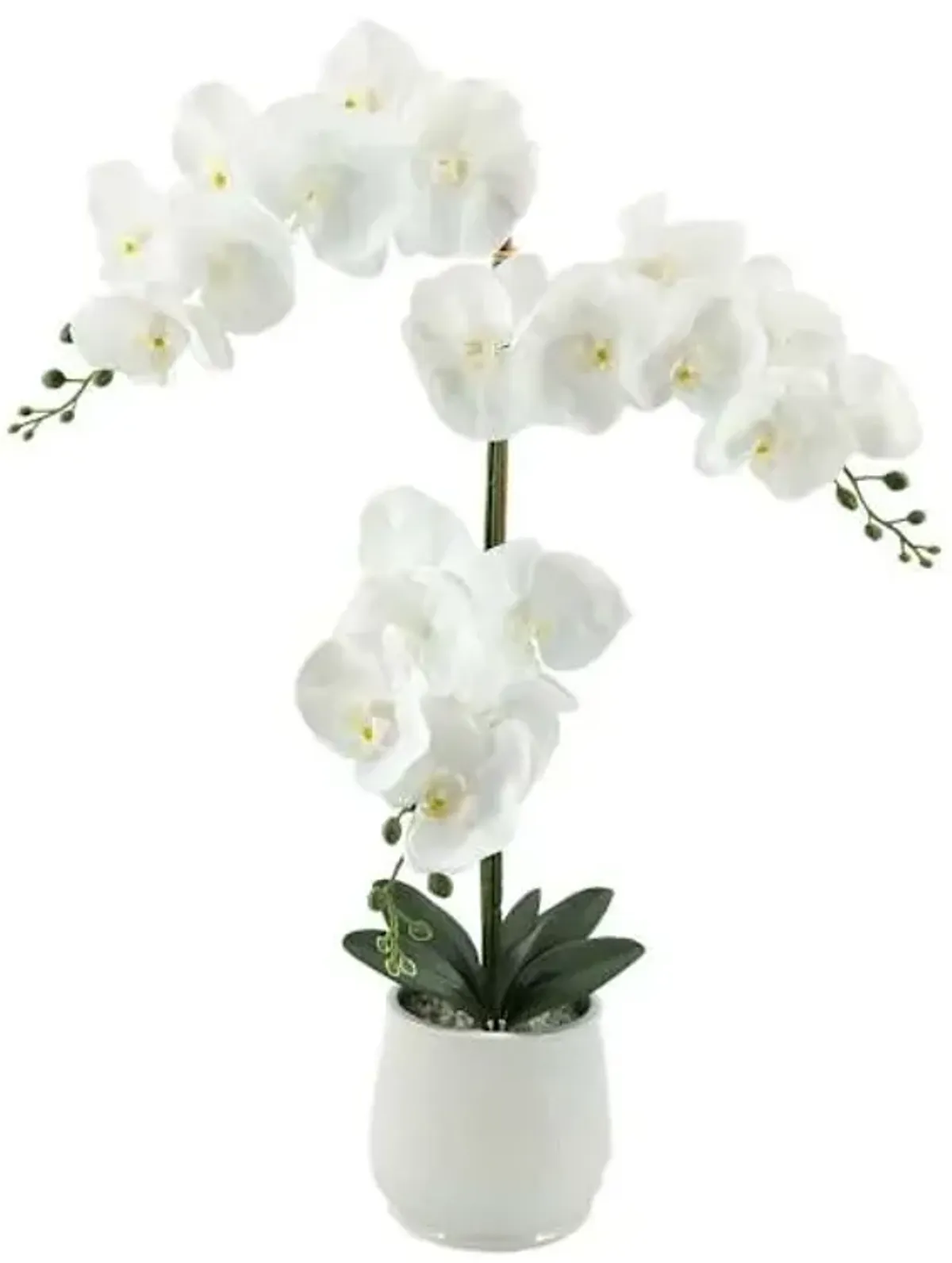 White Orchid Flower with Ceramic Planter, 27.5"