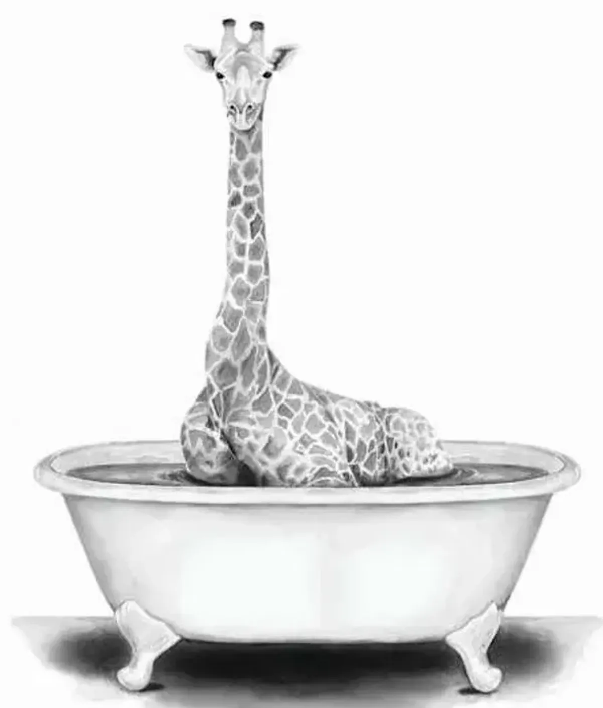 Giraffe In Bathtub Canvas Wall Art, 12x16