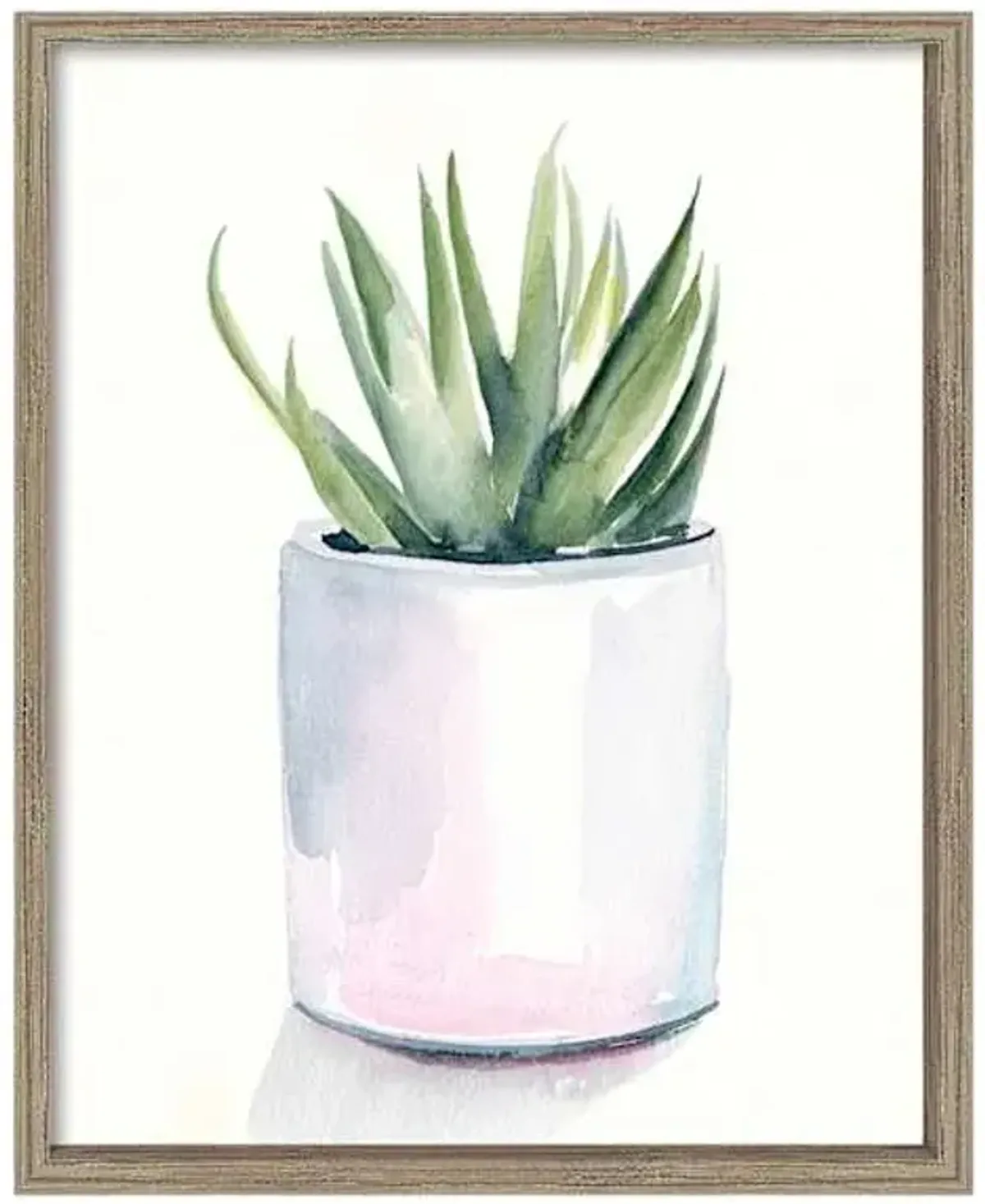 Glass Framed Potted Succulent Wall Art, 17x21
