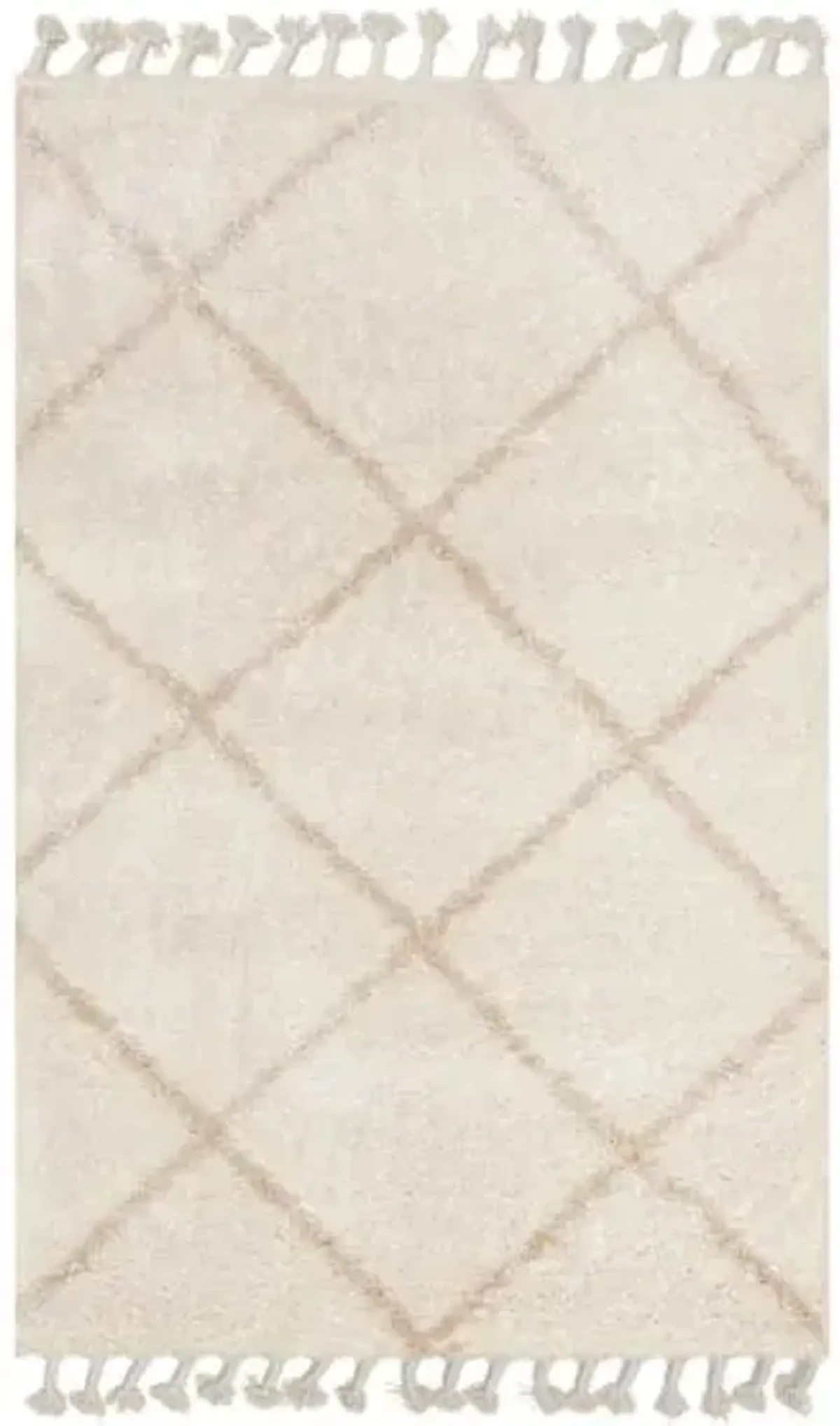 (C172) Sandee Neutral Shag Fringe Accent Rug, 3x5