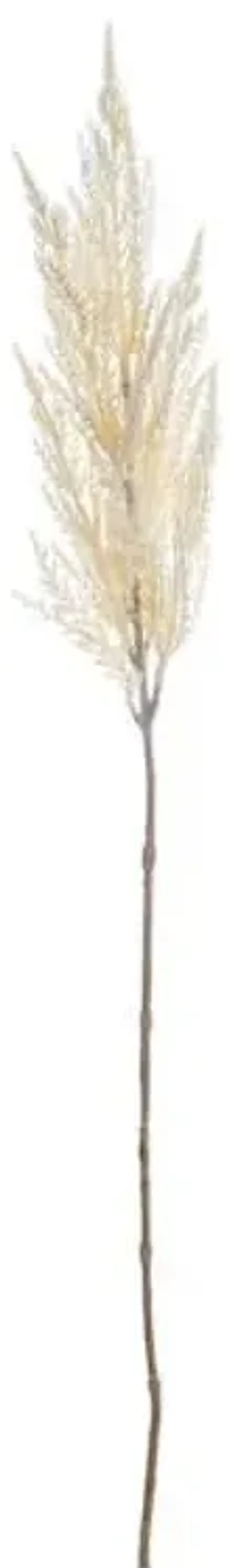 White Pampas Grass Stem, 32"
