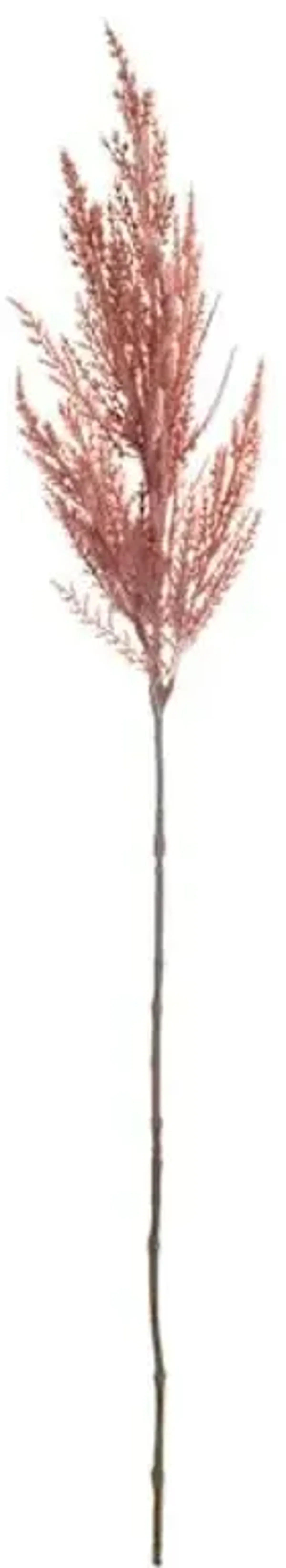 Light Pink Pampas Grass Stem, 32"