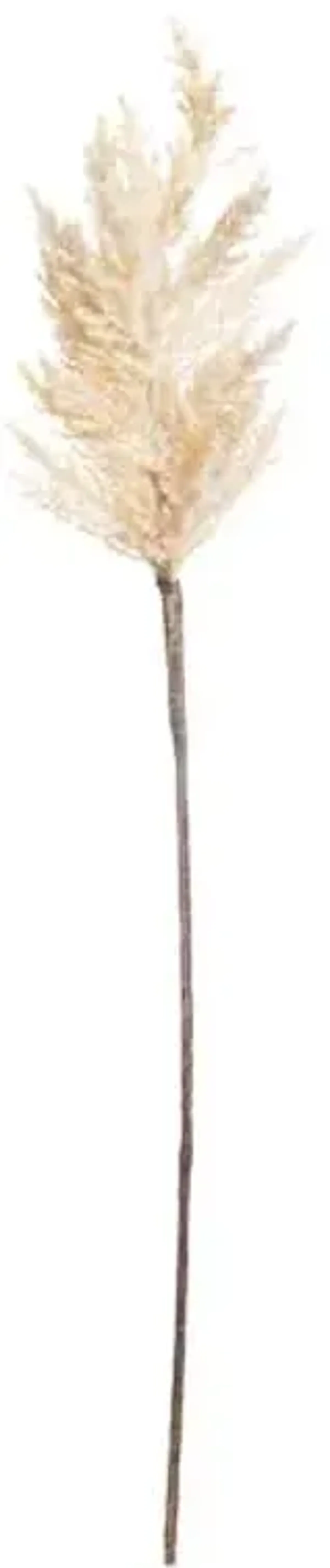 White Pampas Grass Stem, 36"