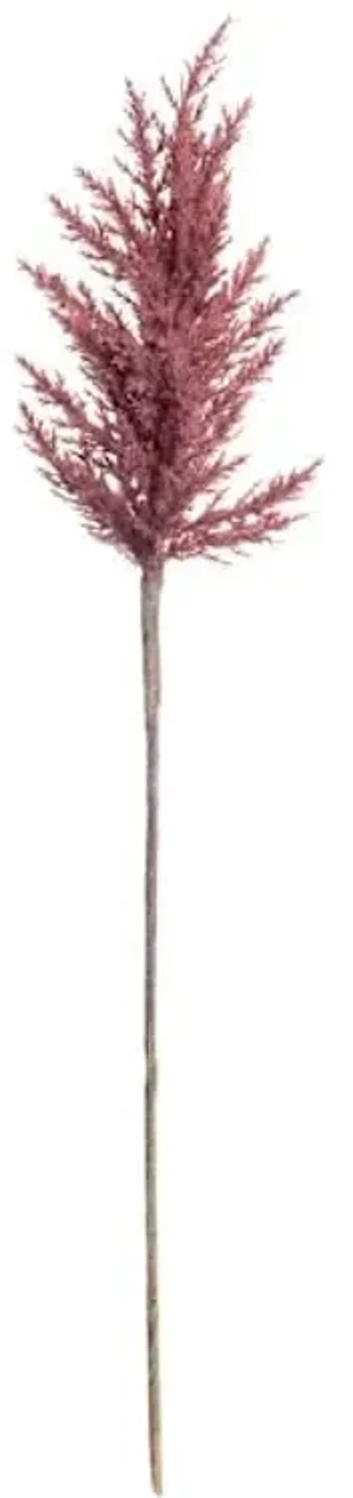 Dark Pink Pampas Grass Stem, 36"