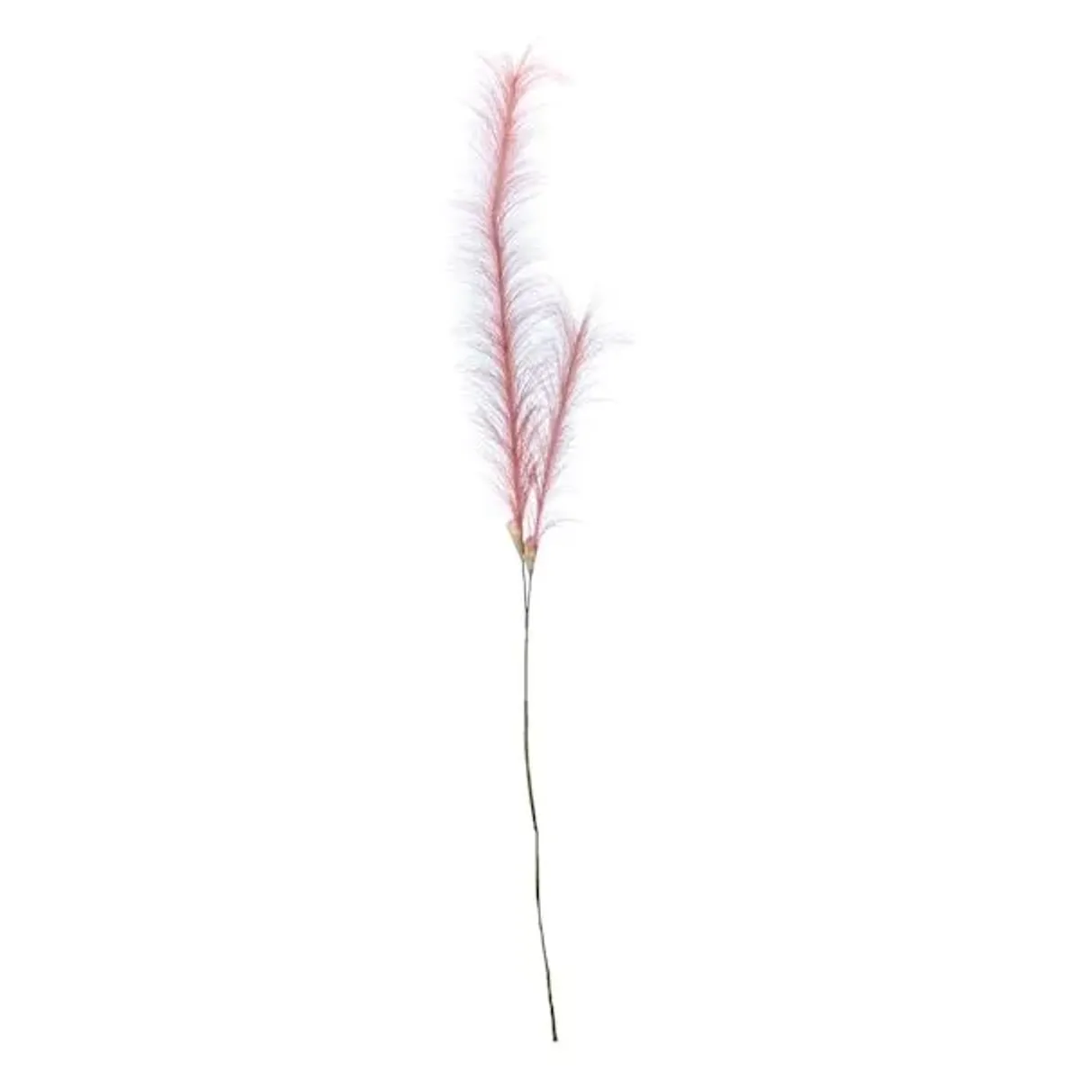 Dark Pink Pampas Grass Spray, 49"