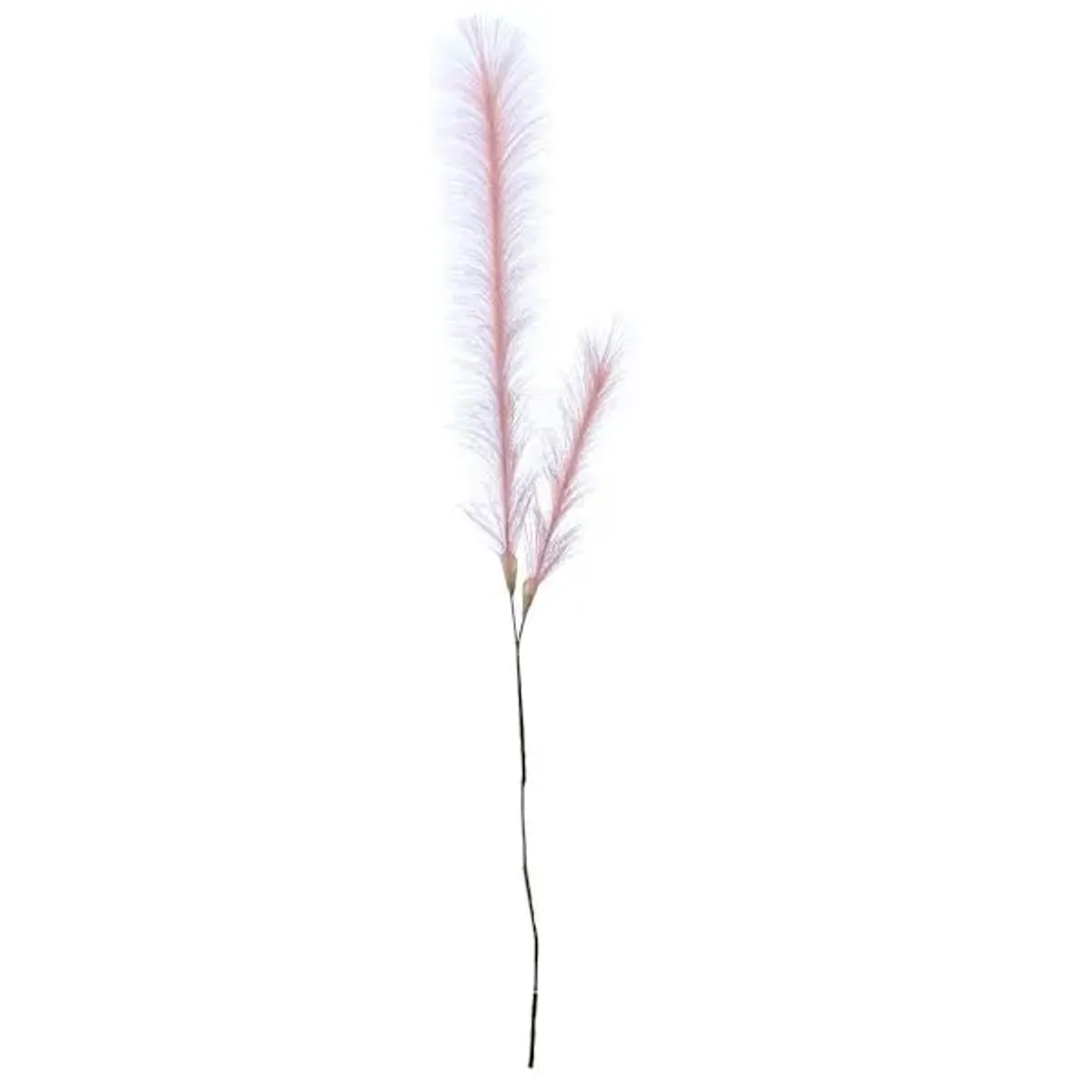 Light Pink Pampas Grass Spray, 49"