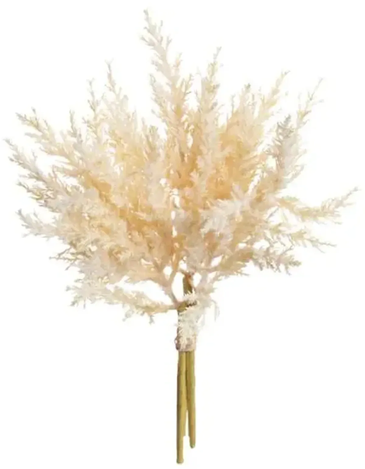 White Pampas Grass Bundle, 14"