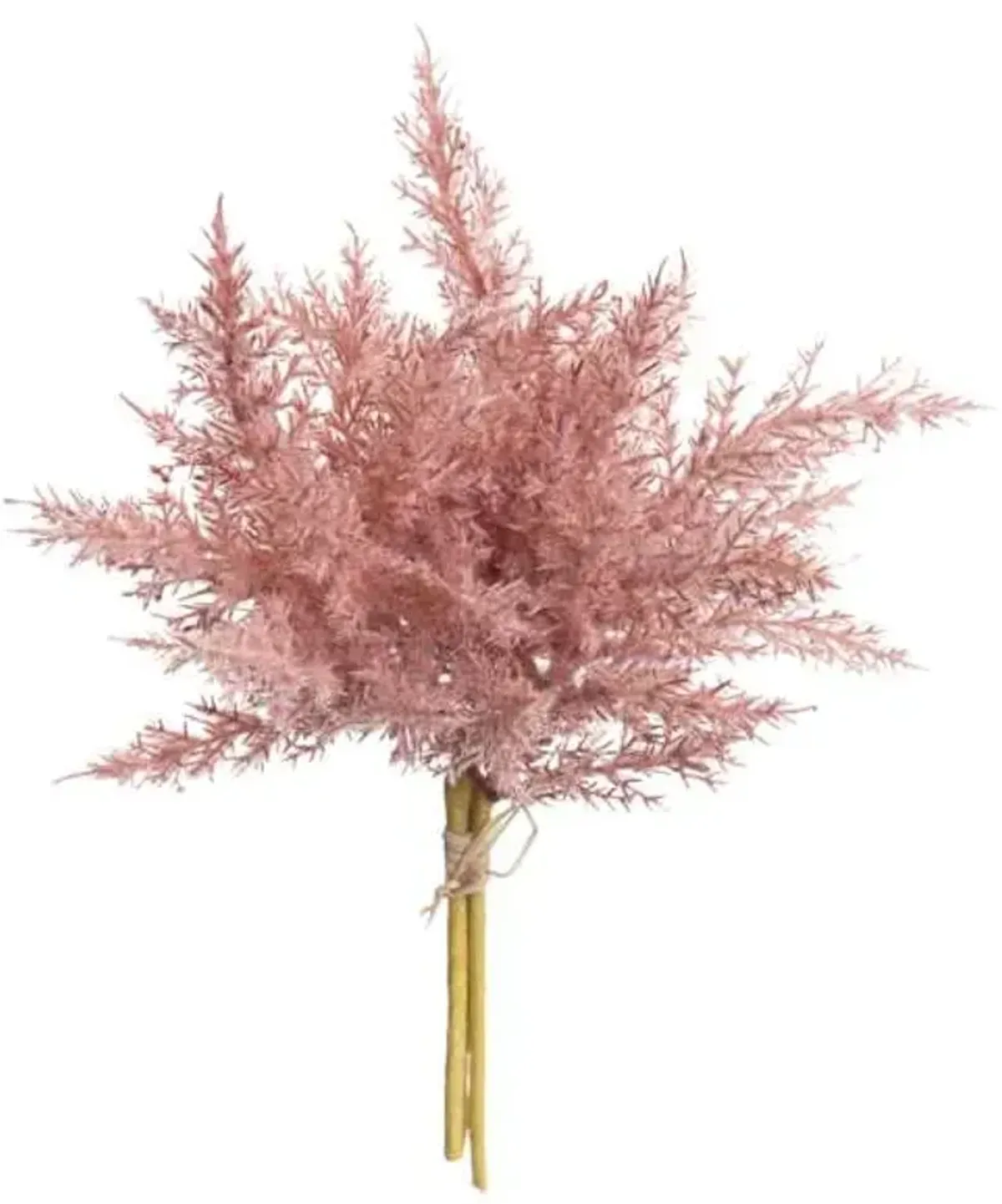 Light Pink Pampas Grass Bundle, 14"
