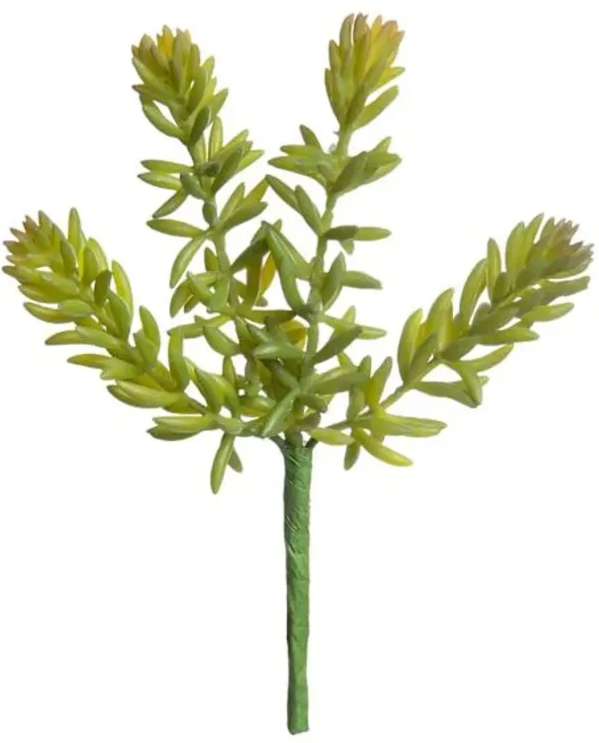 Green Sedum Pick, 7"