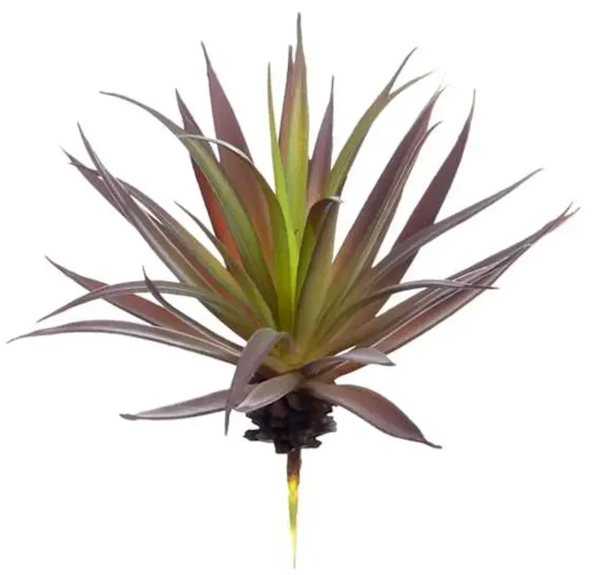 Green & Purple Aloe Pick, 7"
