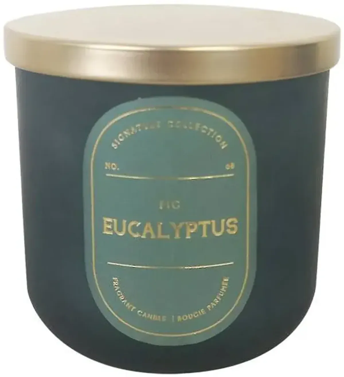 Fig Eucalyptus Scented Jar Candle, 12.5oz