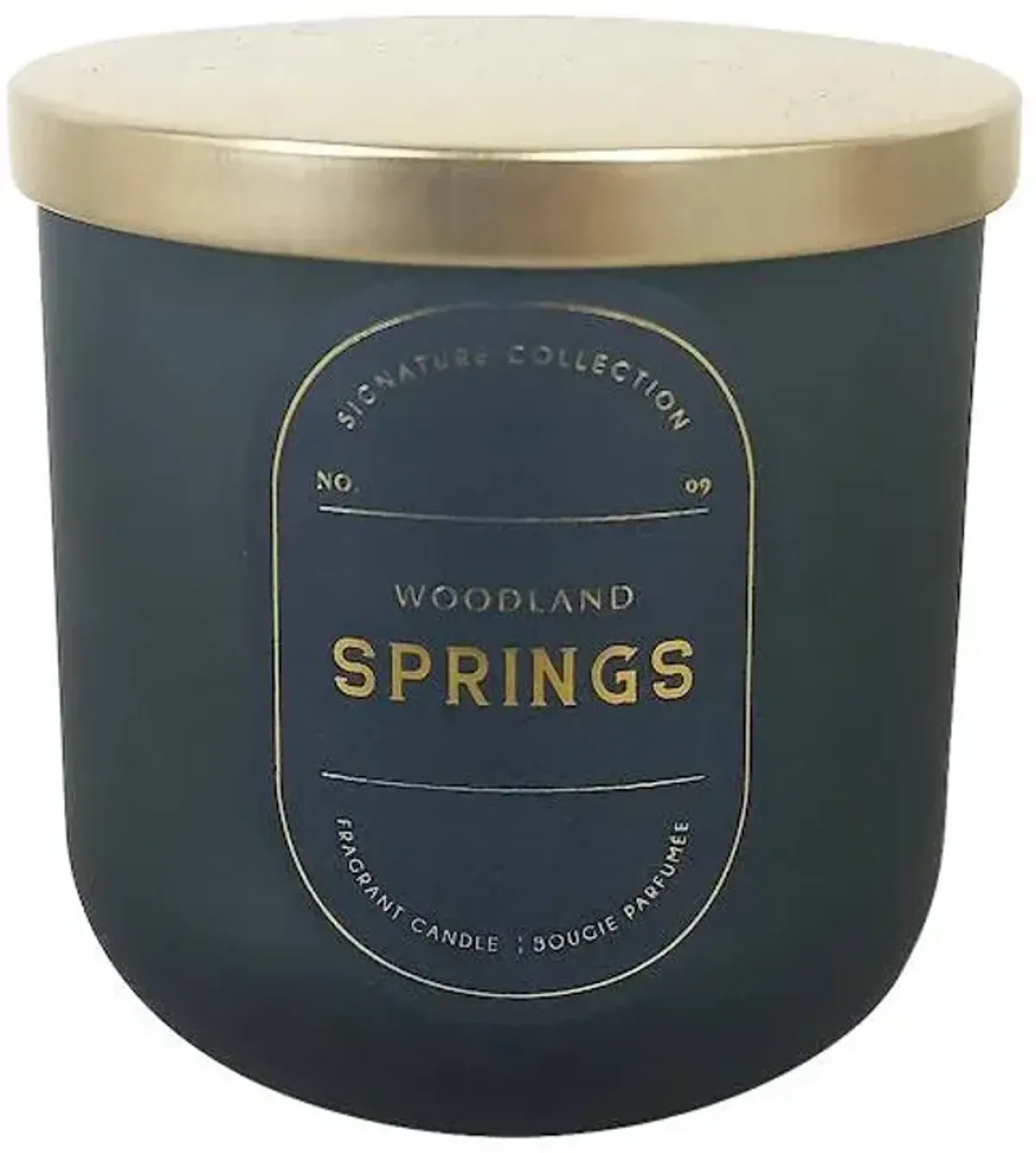Woodland Springs Scented Jar Candle, 12.5oz