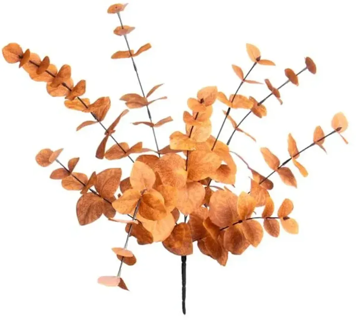 Orange Eucalyptus Stem, 21.5"