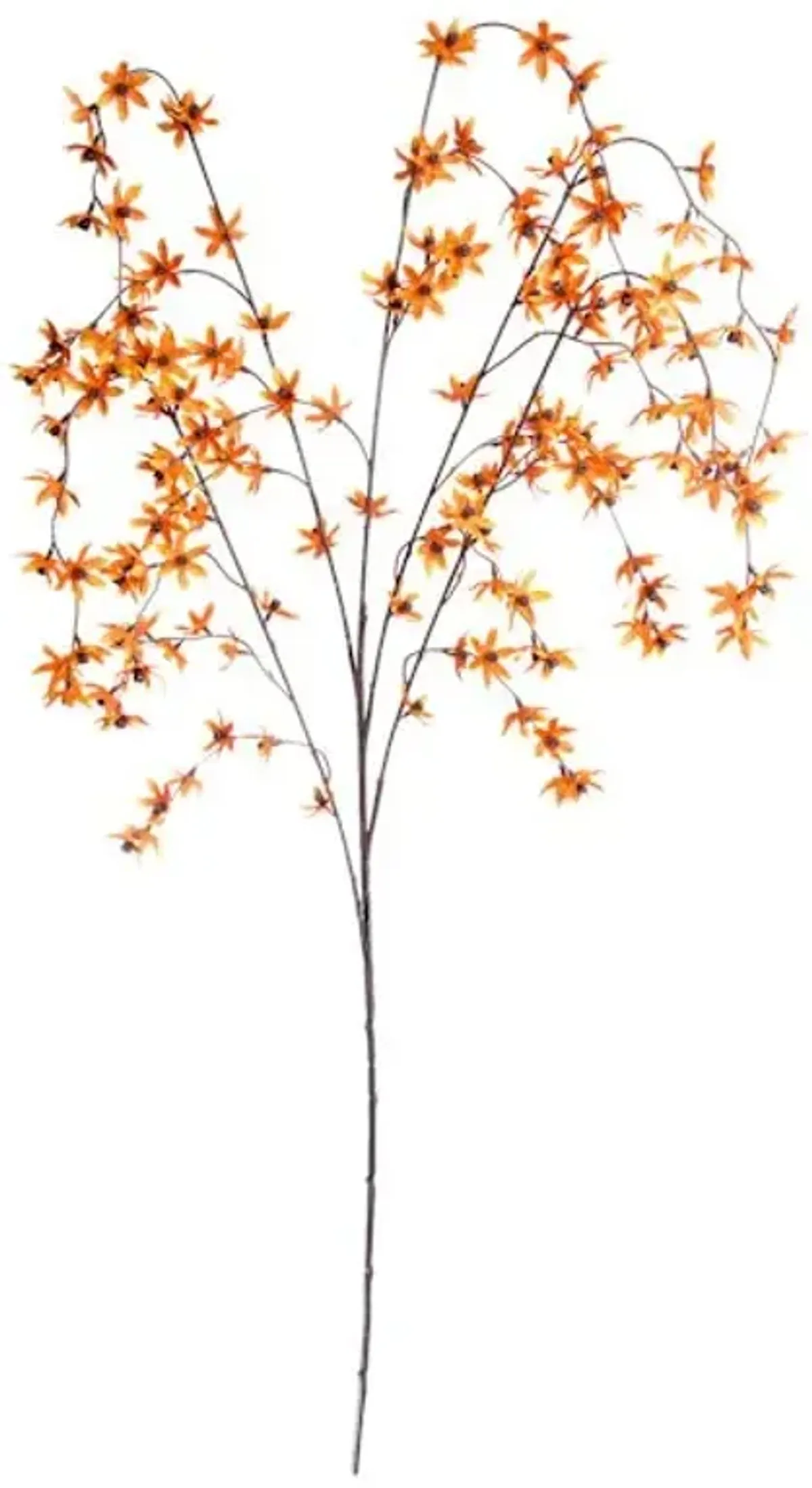 Orange Star Flower Branch, 47"