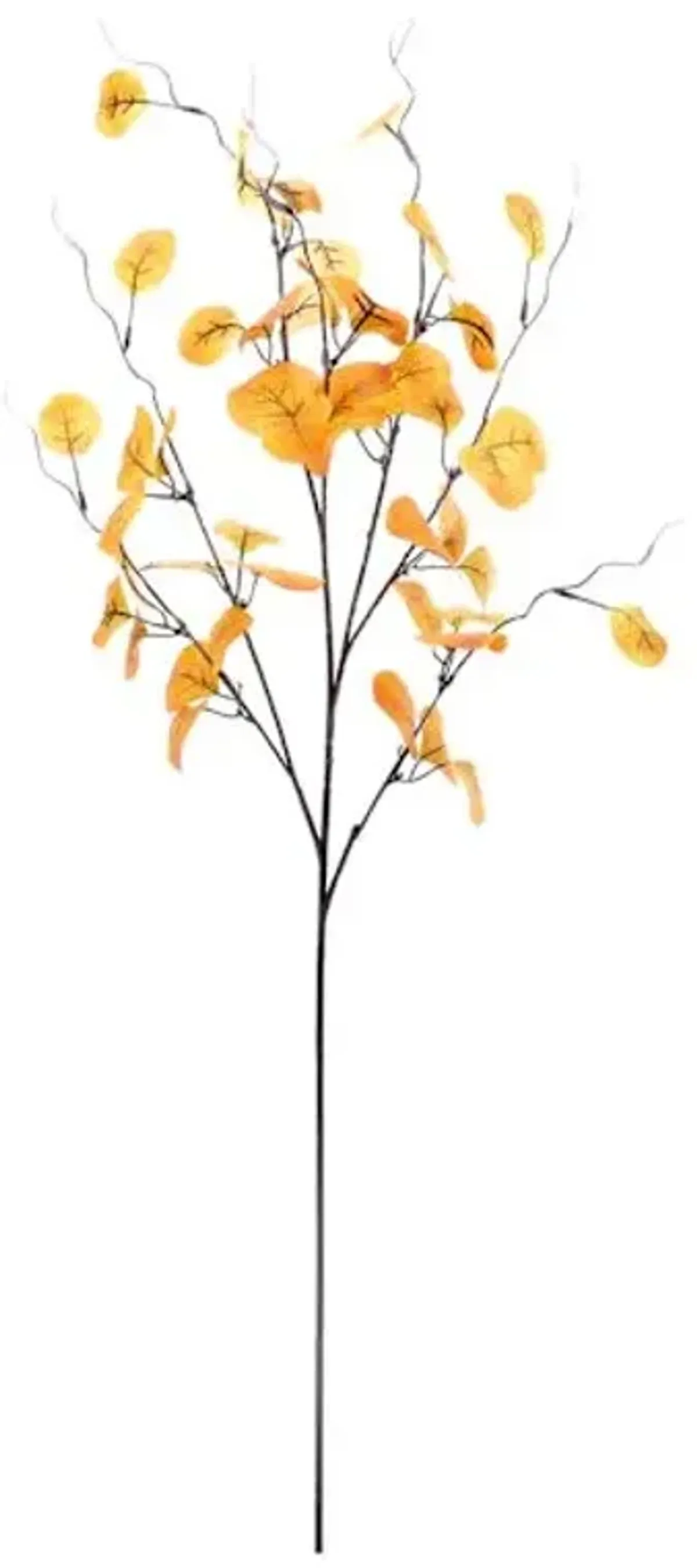 Large Orange Eucalyptus Stem, 40"