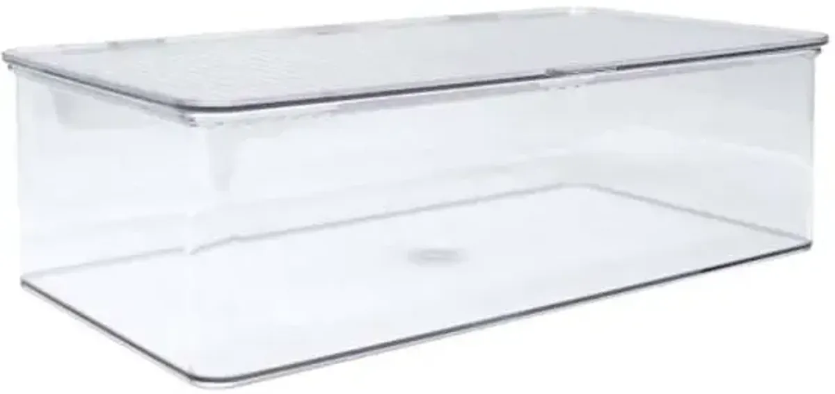 Clear Hinged Storage Organizer, Medium