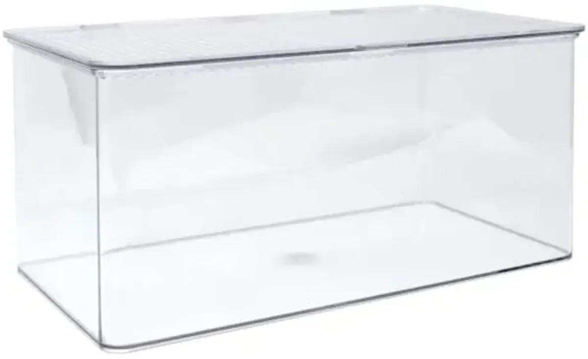 Clear Hinged Storage Organizer, Large