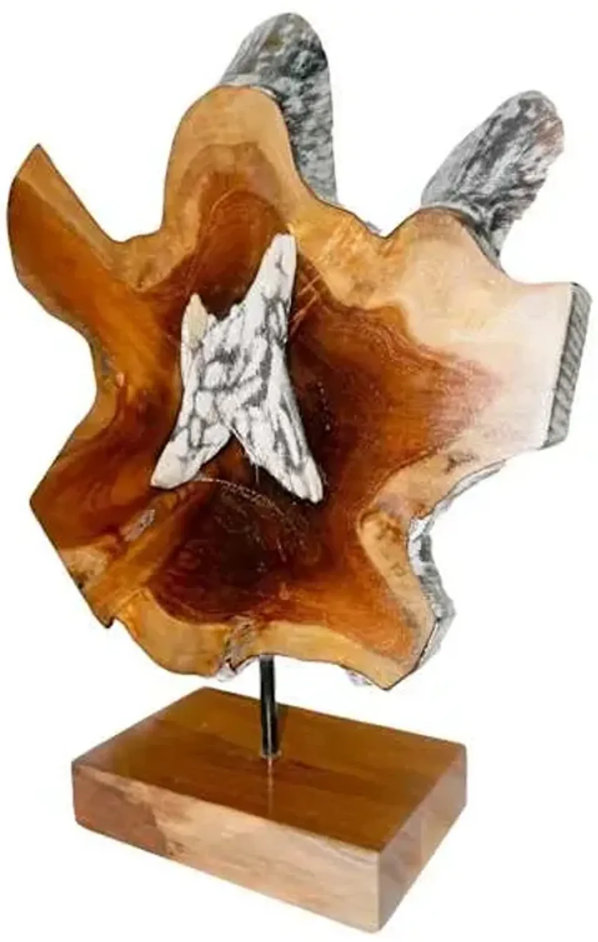 Teak Burn Starlin Sculpture, 20"